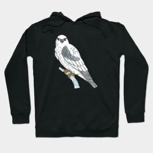 Black-shouldered Kite Hoodie